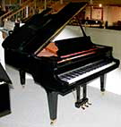 Flgel-Schimmel-174-T-schwarz-305764-1-c